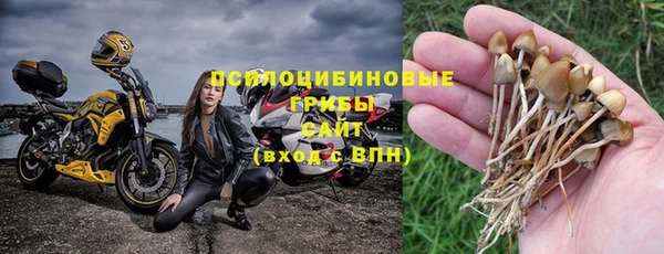 таблы Богородицк