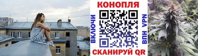 где купить Пестово kraken Канабис MAZAR