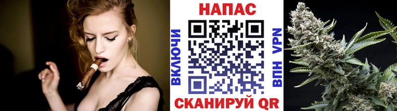 Каннабис гибрид Пестово